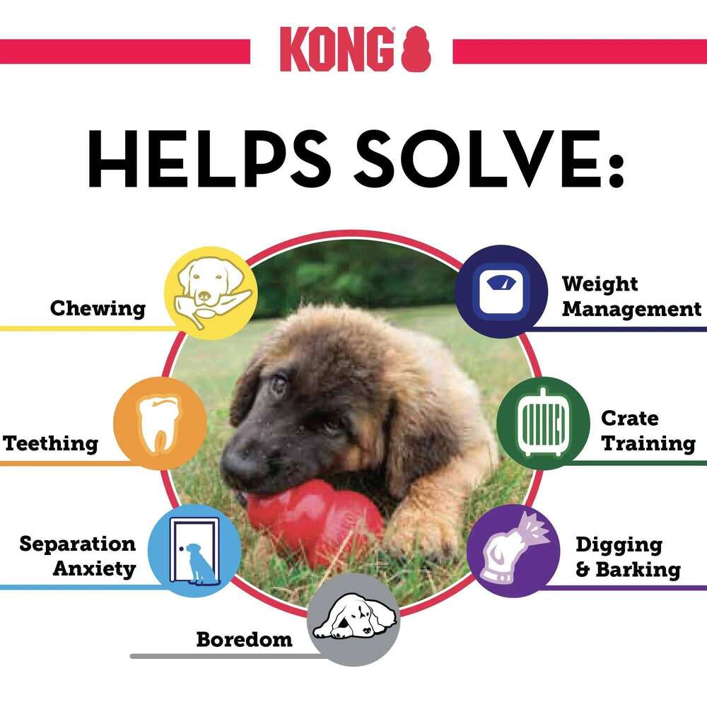 KONG Senior Dog Toy Gentle Natural Rubber Fun to Chew, Chase and Fetch Purple 25N1226