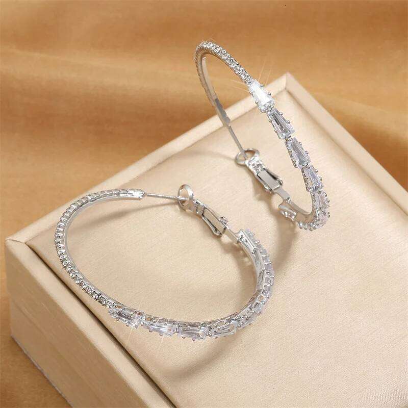 ZAKOL Fashion Exquisite Geometric Cz Zirconia Crystal Hoop Earrings Sliver Color Big Circle Earring Party Jewelry for Women