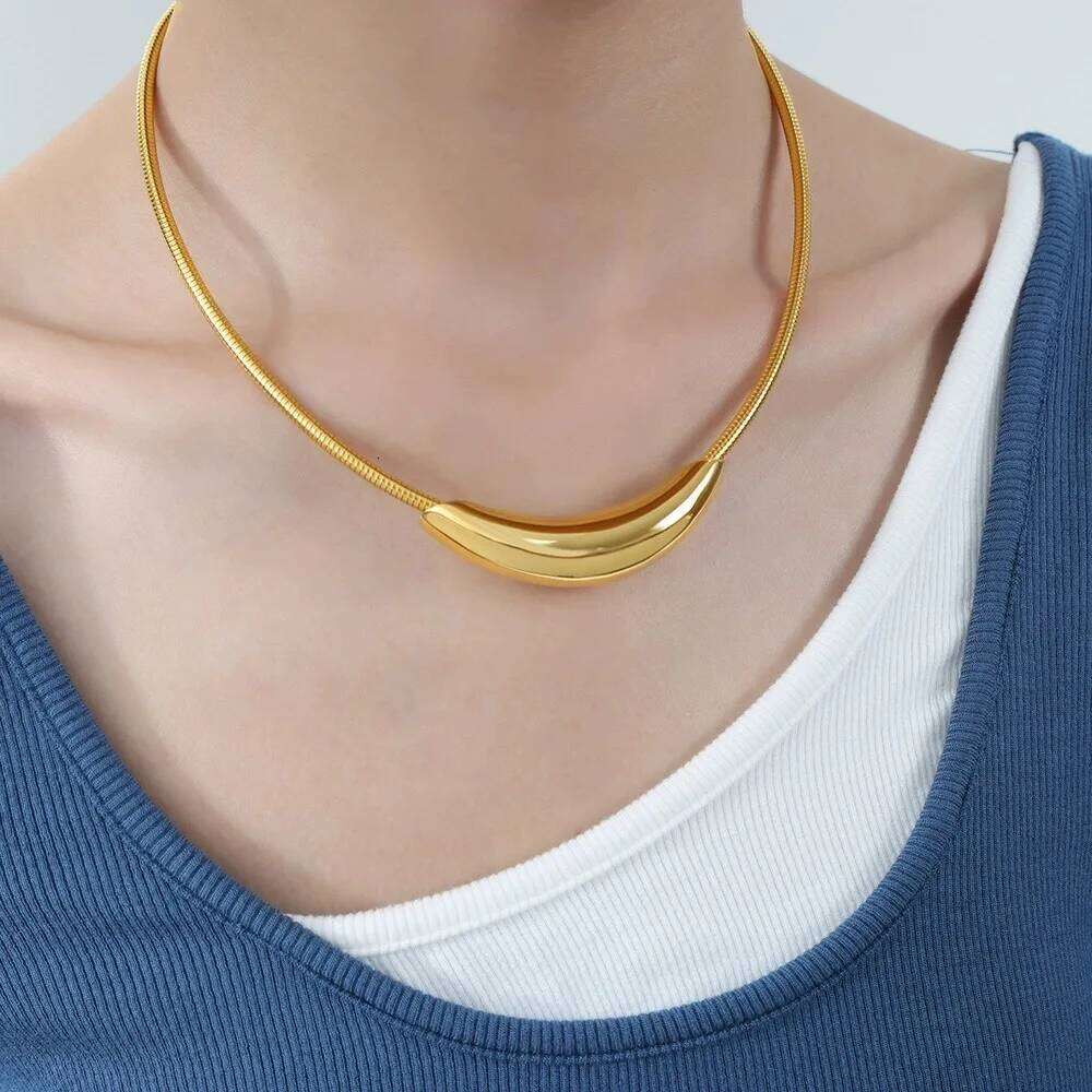 ZAKOL French Trendy Design Metal Tube Snake Bone Chain Collar For Women Men Personality Stainless Steel Choker Party Jewelry