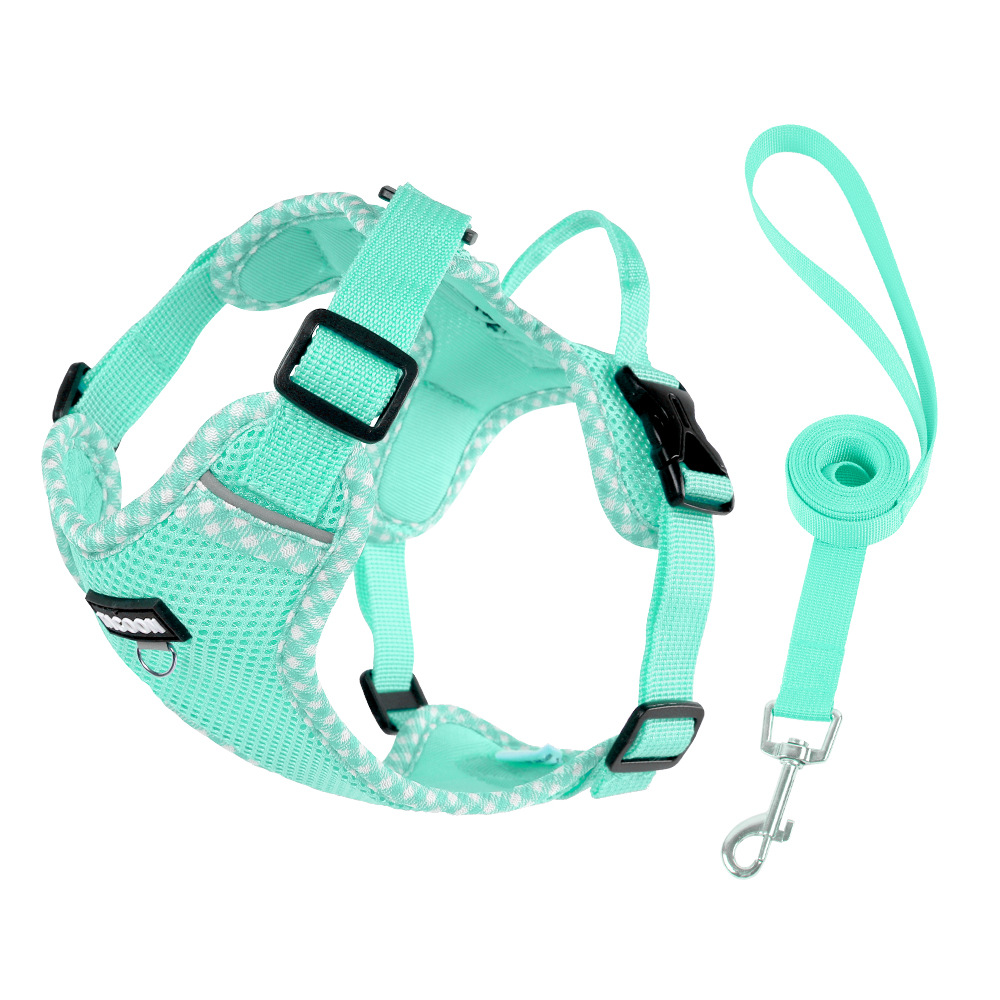 Dog Harness Lightweight No Hair Staining Breathable Mesh Small Pet Vest with Leash for Outdoor Walking