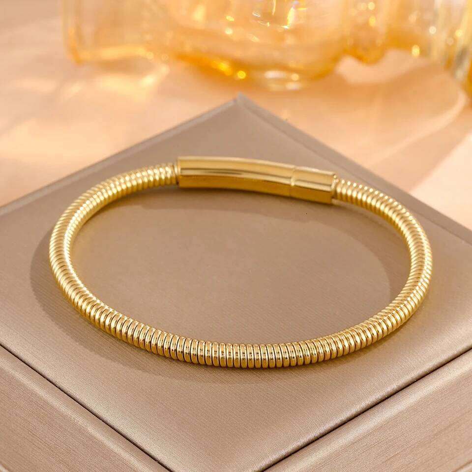 ZAKOL Simple Waterproof Stainless Steel Snake Chain Bracelets for Women Men Fashion Trendy Daily Jewelry Accessories Gift