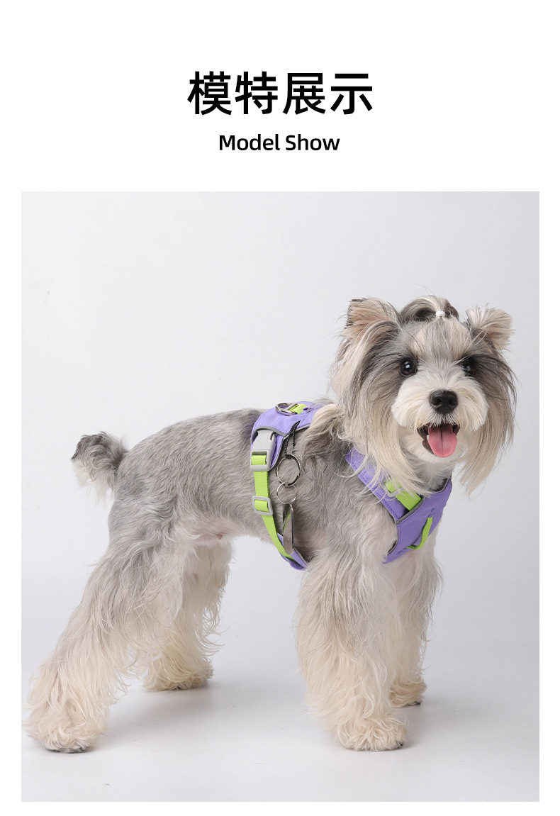 Lightweight Durable Water-resistant Pet Vest with Easy Adjustments for Active Outings