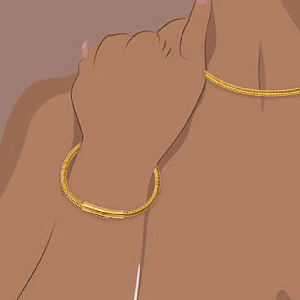 ZAKOL Simple Waterproof Stainless Steel Snake Chain Bracelets for Women Men Fashion Trendy Daily Jewelry Accessories Gift