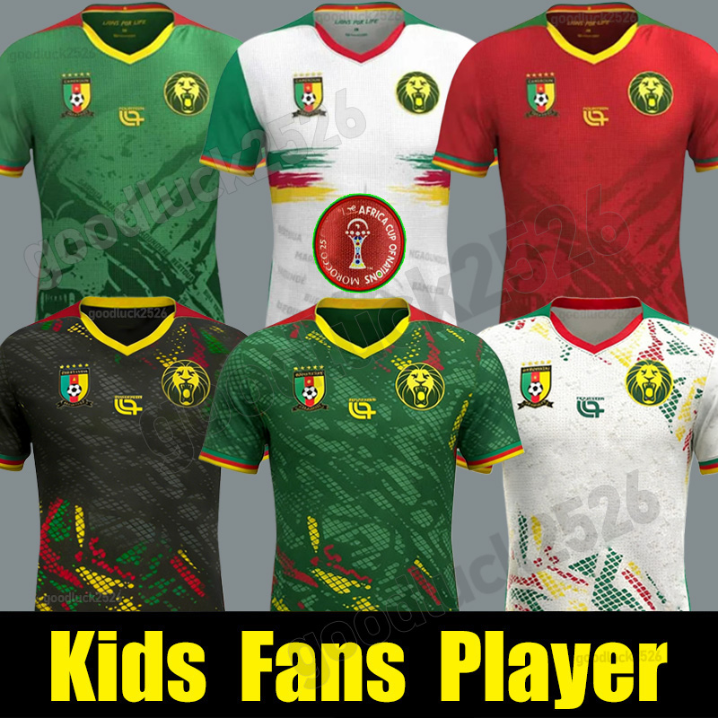 2025 Cameroon Afric… - image