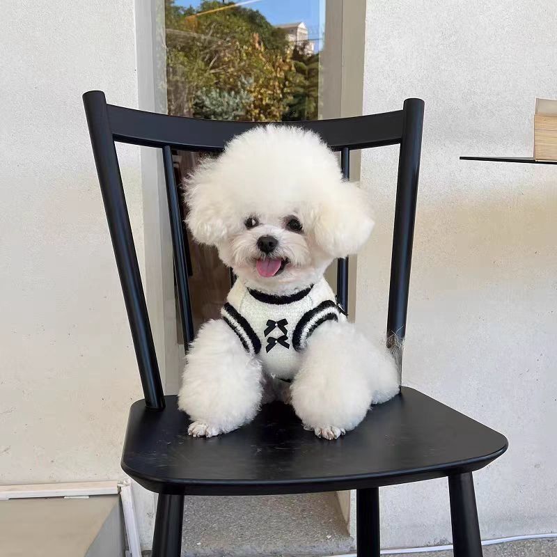 Luxury Dog Sweater Cute Small Dog Sweater with Bowtie Puppy Dogs Clothes for Small Medium Dogs Cats Girl Warm Fall Winter Pet Pullover for Yorkshire C