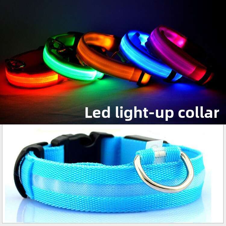 Pet LED Night Flashing Nylon Webbing Dog Light-Up Cat Collar Luxury Designer style
