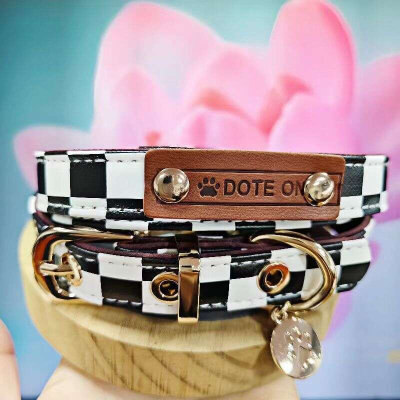 Spring collar dog set Leash adjustable, fashionable, cute pet accessories