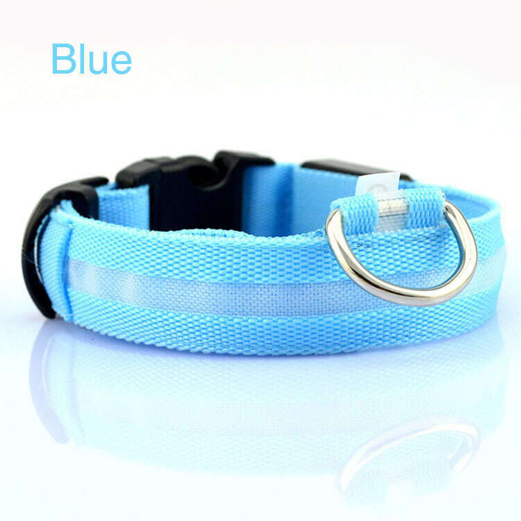 Pet LED Night Flashing Nylon Webbing Dog Light-Up Cat Collar Luxury Designer style