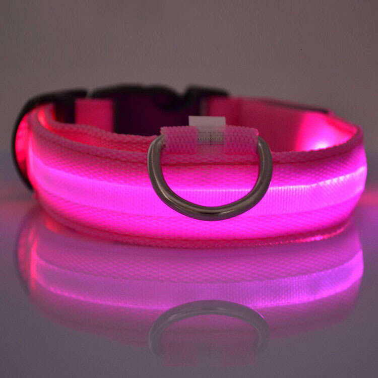 Pet LED Night Flashing Nylon Webbing Dog Light-Up Cat Collar Luxury Designer style