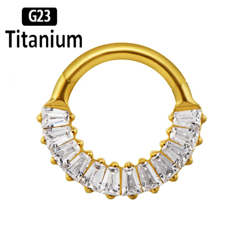 ASTM 36 Nose Rings Earrings Hinged Segment Clicker Ring Septum Hoop Nose Ear Nipple Rings Helix Piercing Body Jewelry 251224