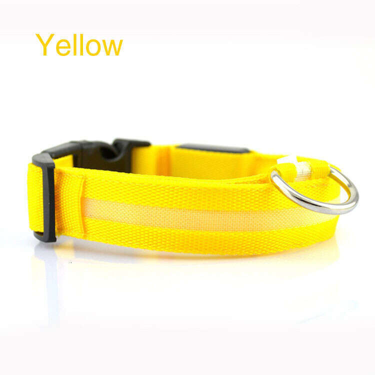 Pet LED Night Flashing Nylon Webbing Dog Light-Up Cat Collar Luxury Designer style