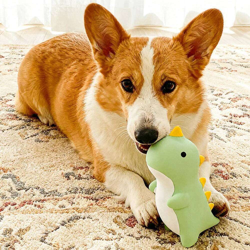 Squeaky Latex Dog - Durable Chew Resistant Pet Toys for Interactive Training, Self-Entertainment & Boredom Relief,