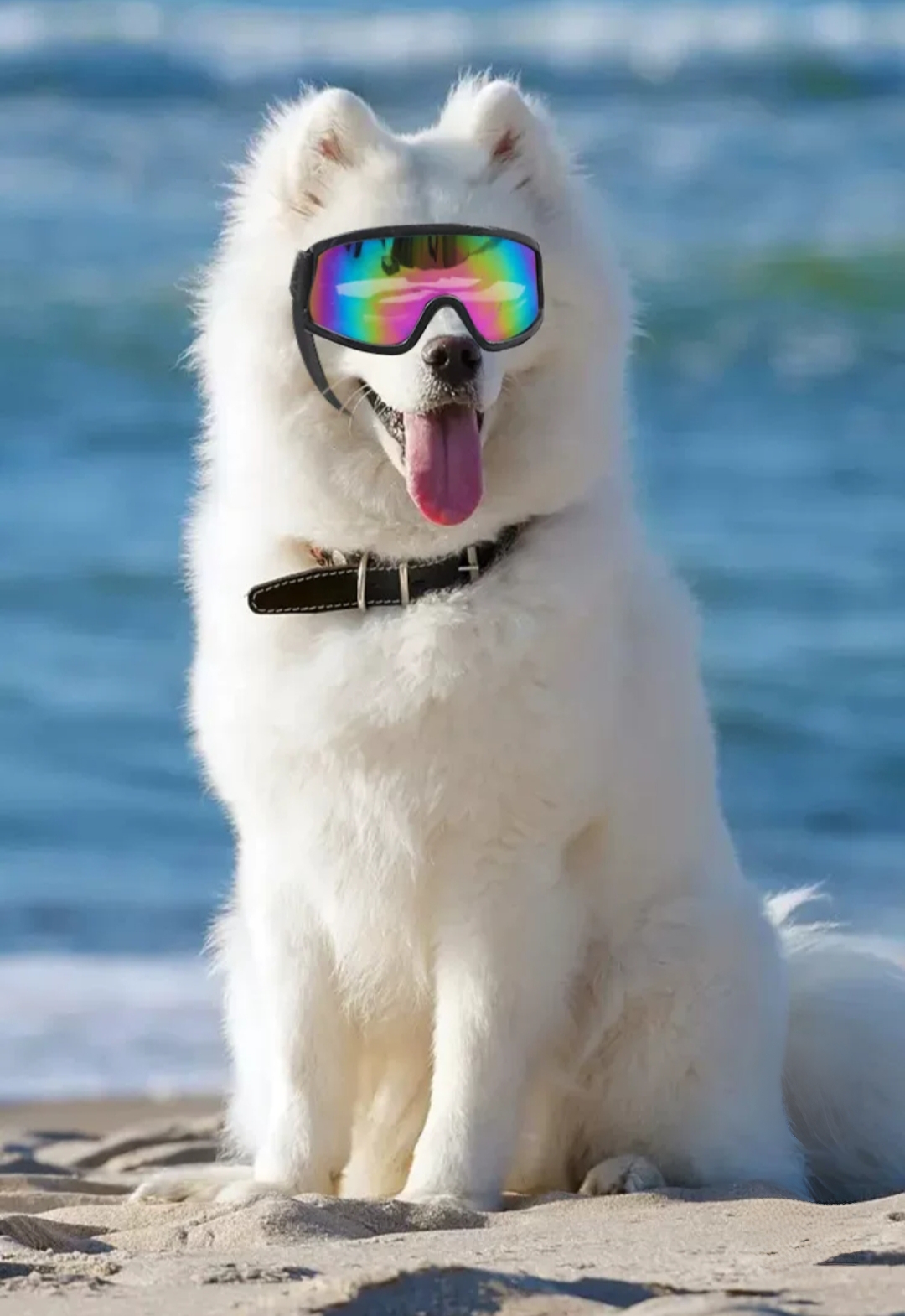 2026 New Fashion Medium Large Pet Glasses Pet Eyewear Waterproof Dog Protection Goggles UV Sunglasses 240801 Free Shipping