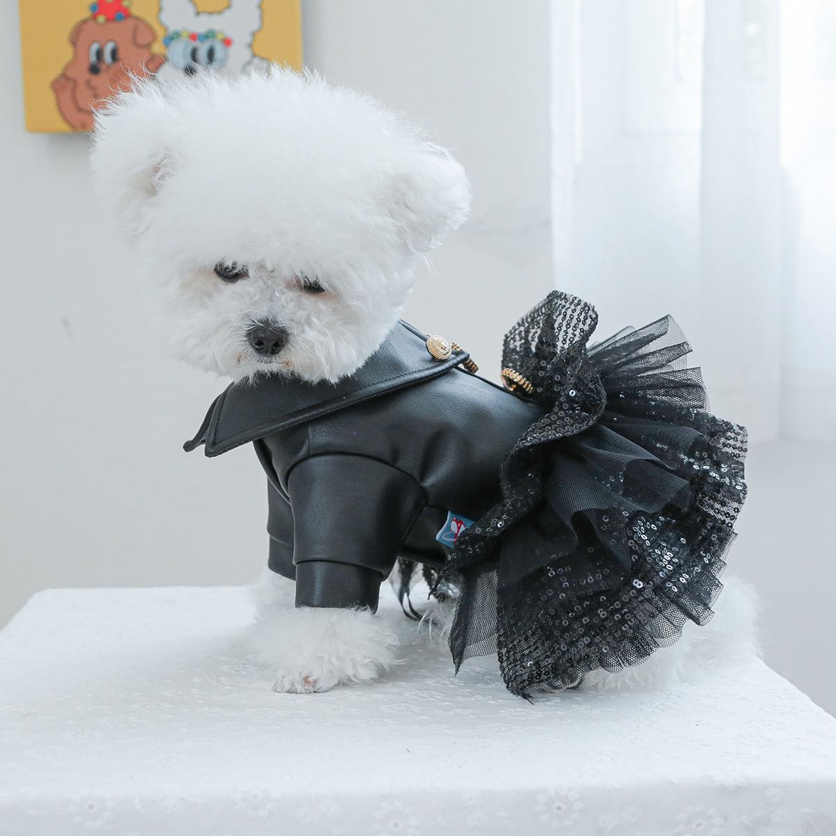 Dog Dress for Small Dog Girl Princess Sequin Dog Tutu Skirt Pet Wedding Outfit Dog Leather Jacket, Warm Puppy Dresses Dog Apparel for Chihuahua Yorkie