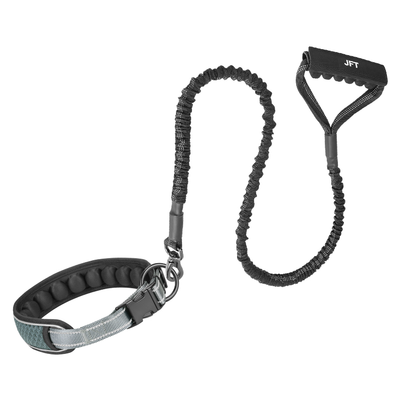 Durable Dog Collar with Adjustable Buckle for Comfort Fit Airbag Design Pet Collar