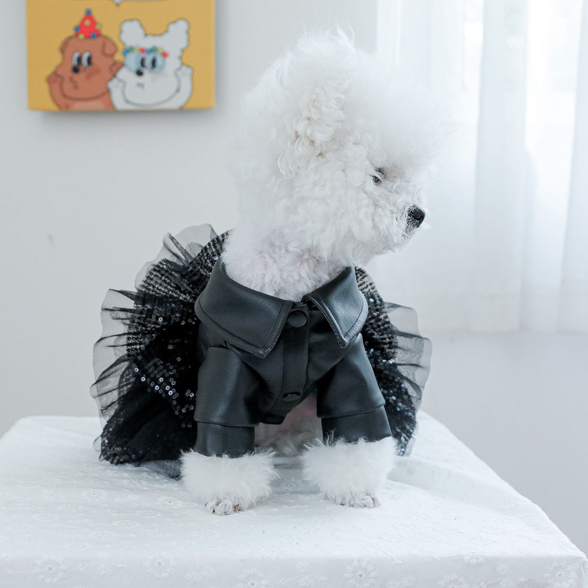 Dog Dress for Small Dog Girl Princess Sequin Dog Tutu Skirt Pet Wedding Outfit Dog Leather Jacket, Warm Puppy Dresses Dog Apparel for Chihuahua Yorkie