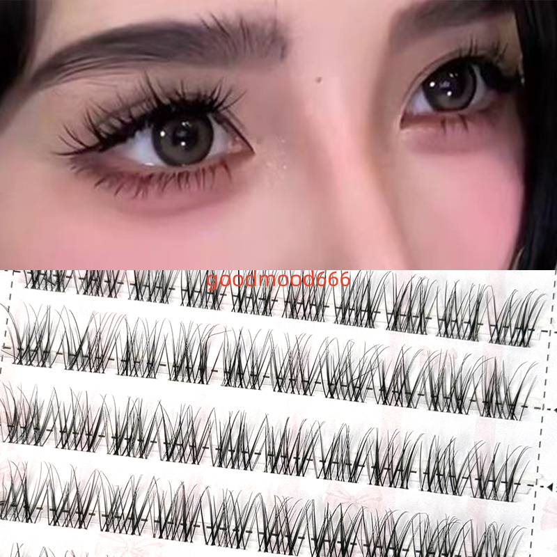 Hot Selling Luxury Clear Band Thin Base Press-on 3D Effect Cluster Eyelashes Custom Feather Style False Eyelashes