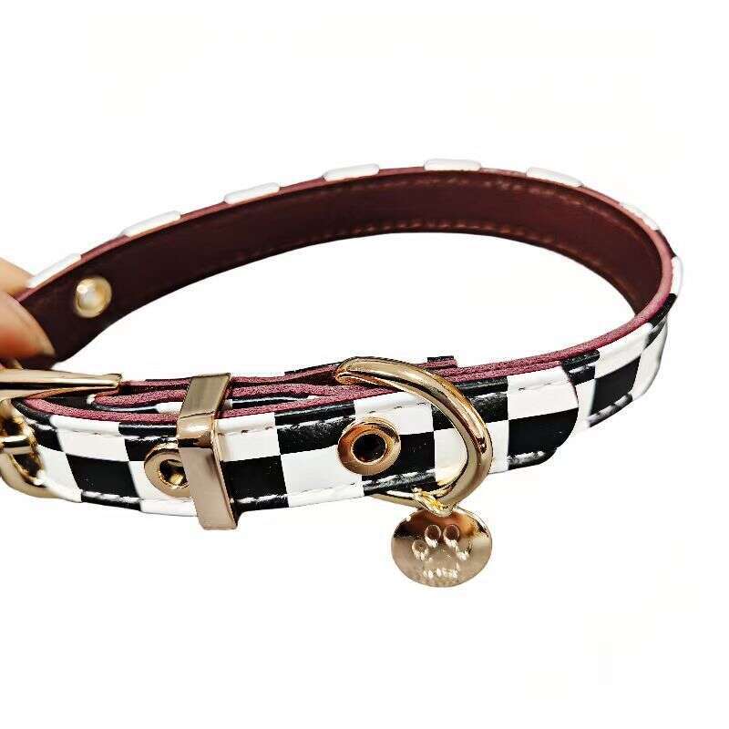 Spring collar dog set Leash adjustable, fashionable, cute pet accessories