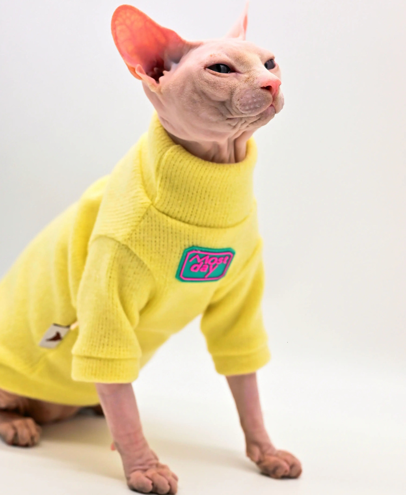 Sphynx Cat Clothes Warm and Soft Hairless Cat Sweater Devon Cat Clothes Cornish Peter Bald Cat Clothes Cat Outfit 251219