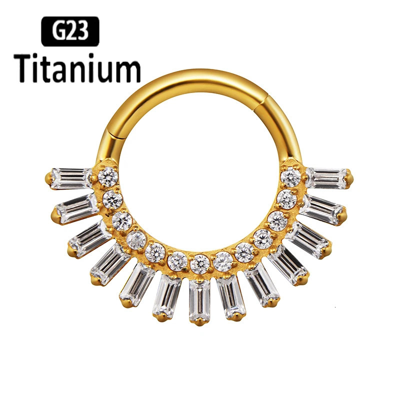 ASTM 36 Nose Rings Earrings Hinged Segment Clicker Ring Septum Hoop Nose Ear Nipple Rings Helix Piercing Body Jewelry 251224