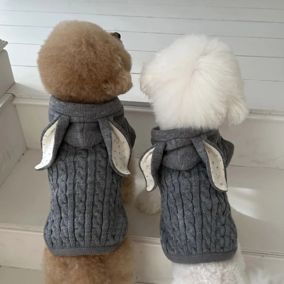 Ins Winter Dog Clothes Warm Pet Dog Sweaters Puppy Knit Pullovers for Cat Dog Clothes Pet Outfits 251219