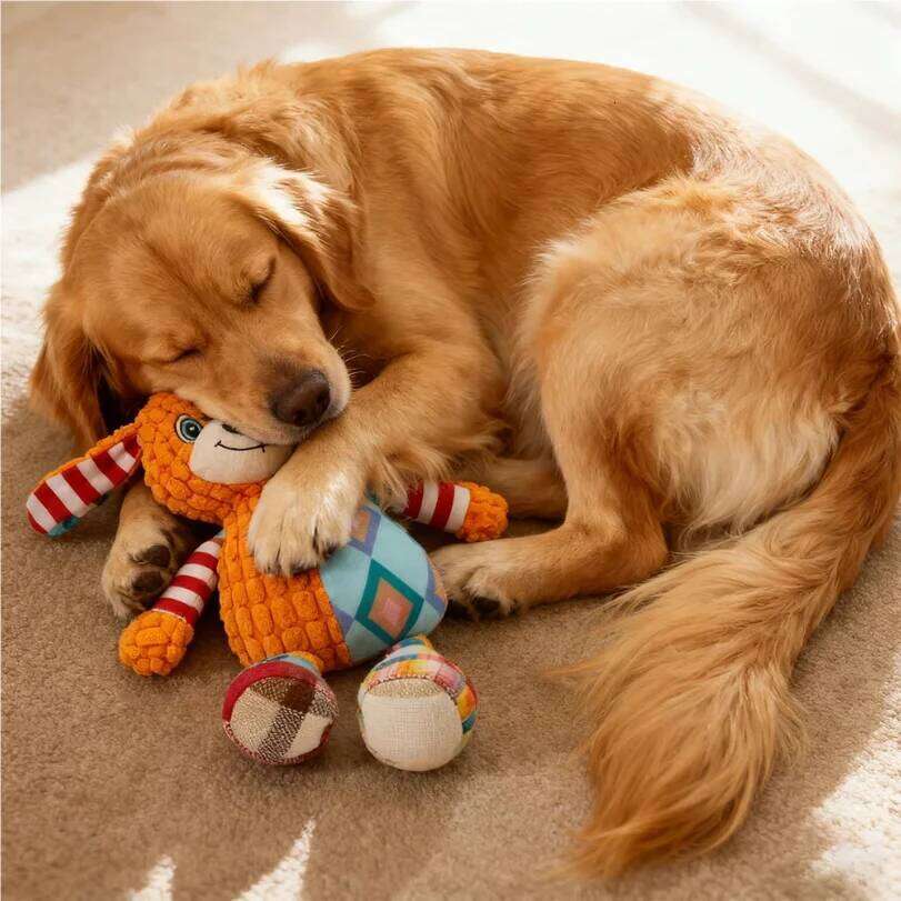 Interactive Plush Cat And Dog Cute Squeaky Bite Resistant Puzzle Chew Toy for Teeth Cleaning Pet Supplies