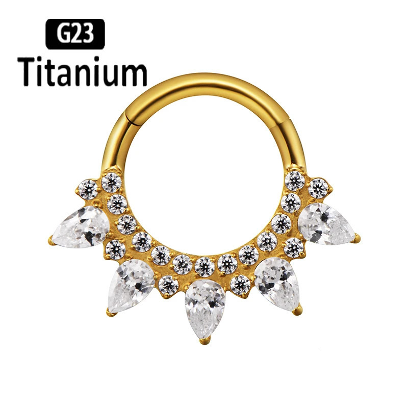 ASTM 36 Nose Rings Earrings Hinged Segment Clicker Ring Septum Hoop Nose Ear Nipple Rings Helix Piercing Body Jewelry 251224