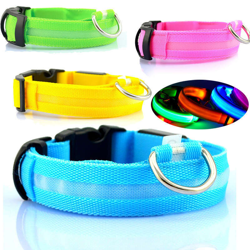 Pet LED Night Flashing Nylon Webbing Dog Light-Up Cat Collar Luxury Designer style