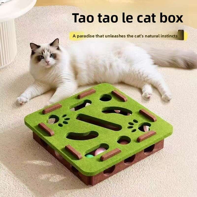 Cross-Border Wholesale Hole-Punching Puzzle Fun Teasing Maze Box Cat Self-Entertainment Boredom Relief Artifact Pet Toy