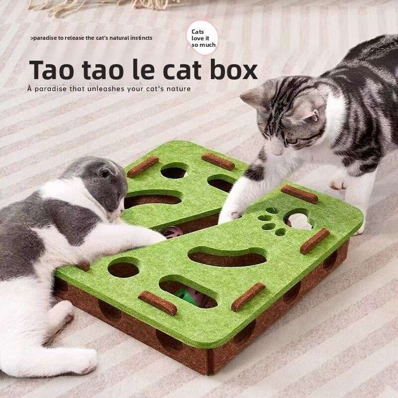 Cross-Border Wholesale Hole-Punching Puzzle Fun Teasing Maze Box Cat Self-Entertainment Boredom Relief Artifact Pet Toy