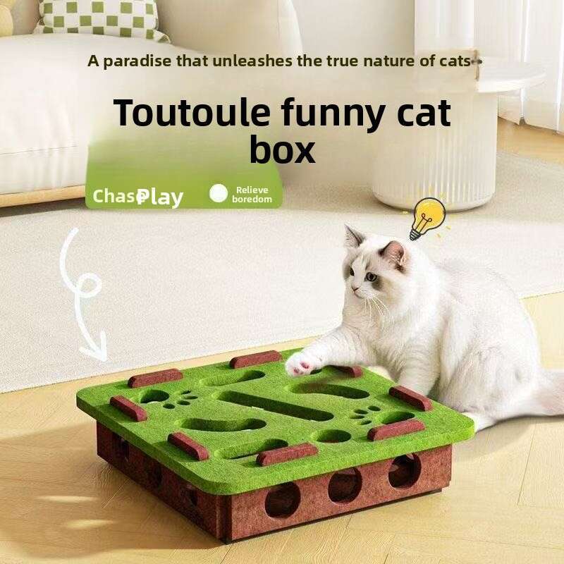 Cross-Border Wholesale Hole-Punching Puzzle Fun Teasing Maze Box Cat Self-Entertainment Boredom Relief Artifact Pet Toy