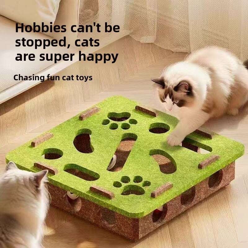 Cross-Border Wholesale Hole-Punching Puzzle Fun Teasing Maze Box Cat Self-Entertainment Boredom Relief Artifact Pet Toy