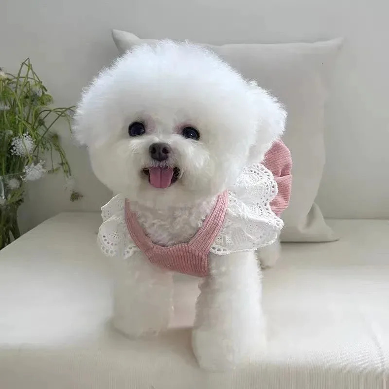 Pet Dog Clothes Winter Dress Corduroy Pumpkin Pulling Buckle Teddy Cat Warm Lace Skirt Puppy Dresses for Small Dogs 251229 H260130
