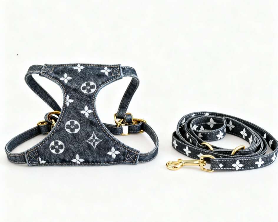 Pomeranian Corgi Designer Dog Cat French Bulldog Leash Trendy Brand Leather Chest Harness Set