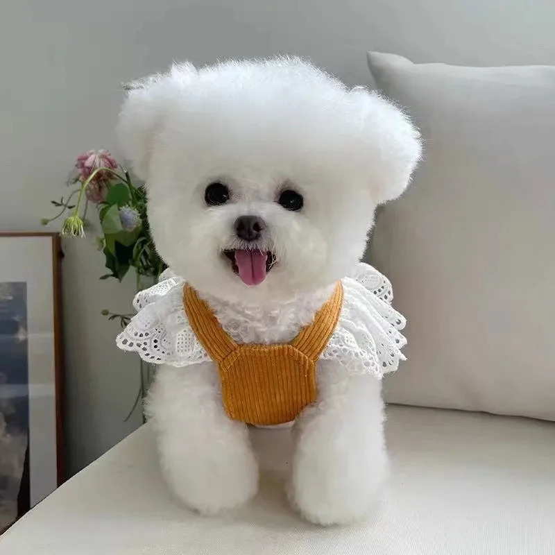 Pet Dog Clothes Winter Dress Corduroy Pumpkin Pulling Buckle Teddy Cat Warm Lace Skirt Puppy Dresses for Small Dogs 251229 H260130