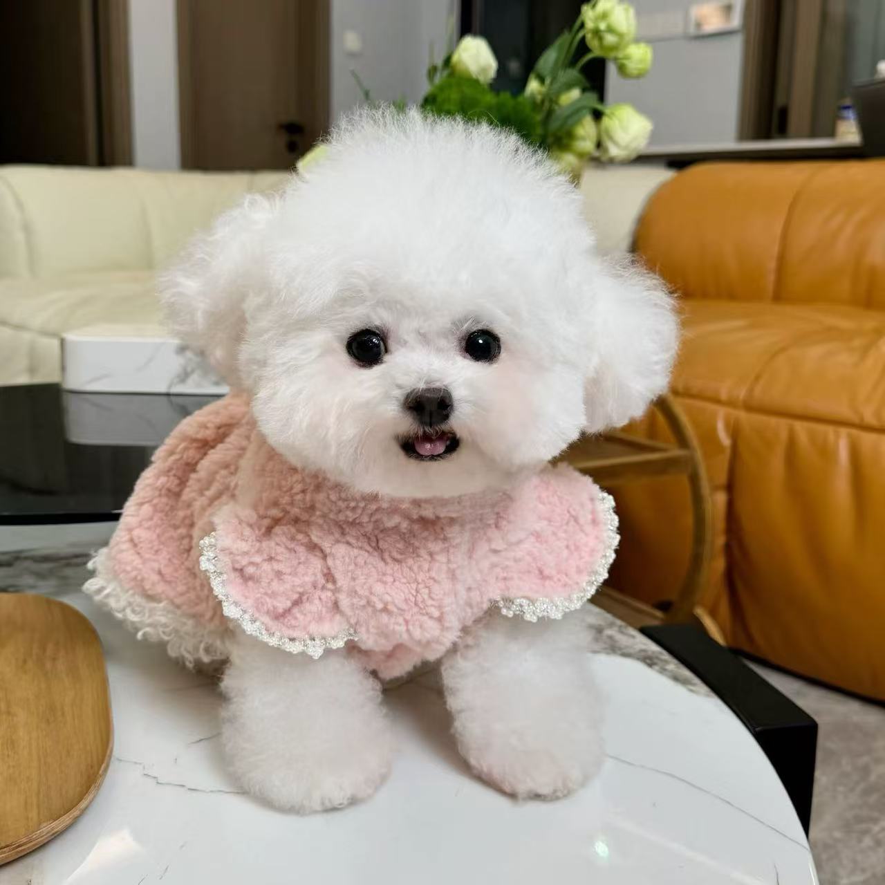T690 Flying Sleeve Princess Dress Dog Cat Pull Cardigan Button Jacket