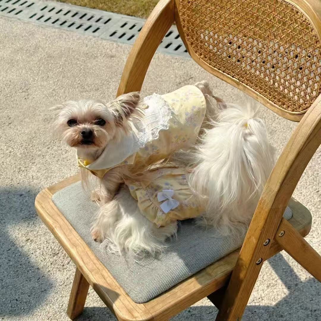 T649 Pet cat dog princess dress Bichon Pomeranian Yorkshire Schnauzer small dog and cat clothes spring and summer thin stylish