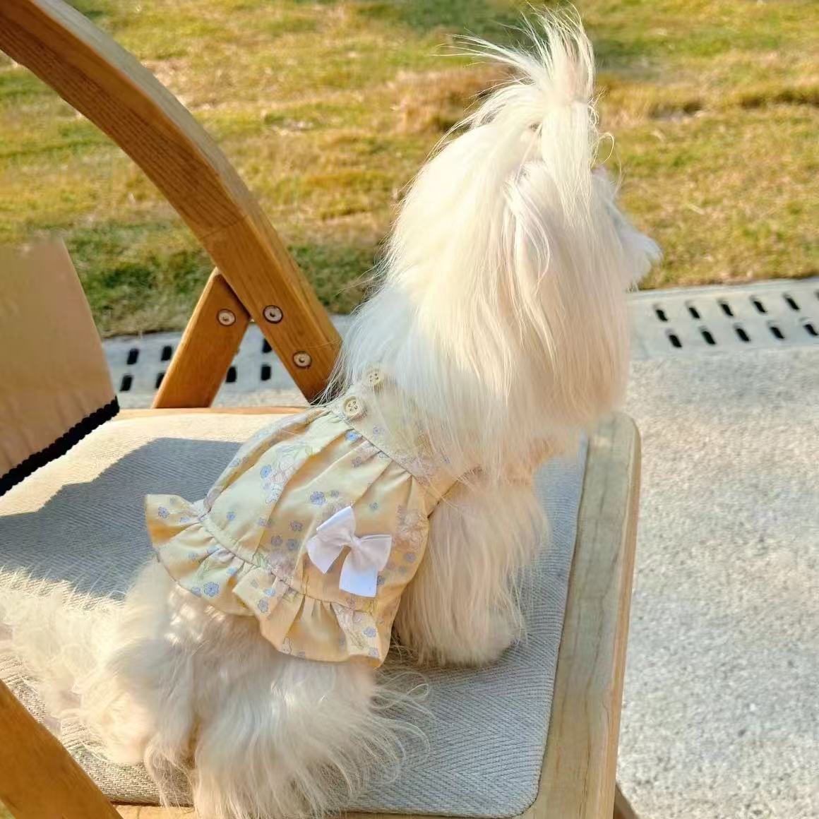 T649 Pet cat dog princess dress Bichon Pomeranian Yorkshire Schnauzer small dog and cat clothes spring and summer thin stylish