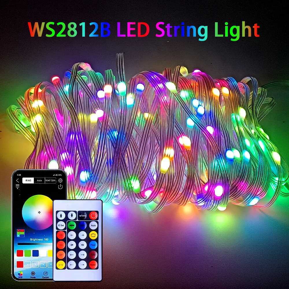WS2812B Led String Addressable Individually Birthday Decor Christmas Lights IP68 Outdoor Waterproof Wire Decoration 5V 5050 RGB W250701