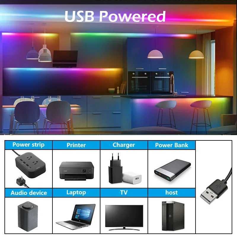 WS2812B LED Strip Light Rainbow Dreamcolor USB LED Strip RGBIC 5050SMD Bluetooth Control 5V Lamp for Room Decoration W250701