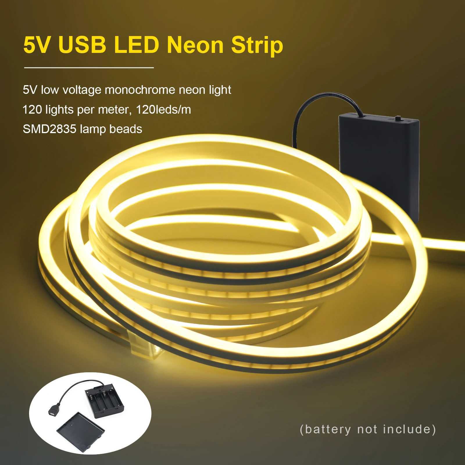 USB Neon LED Strip Light 5V 120LEDs/m SMD 2835 Waterproof Flexible Neon Rope Tape with Battery Box for Home Decoration 0.5-3m W250701
