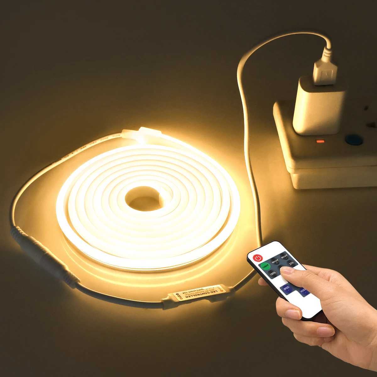 USB 5V Neon LED Strip Light Wireless Remote Controller veya Dimmable Dokunmatik Anahtar LED Iklar Halat Oda Duvar Dolap Dekor Aydnlatma W250701