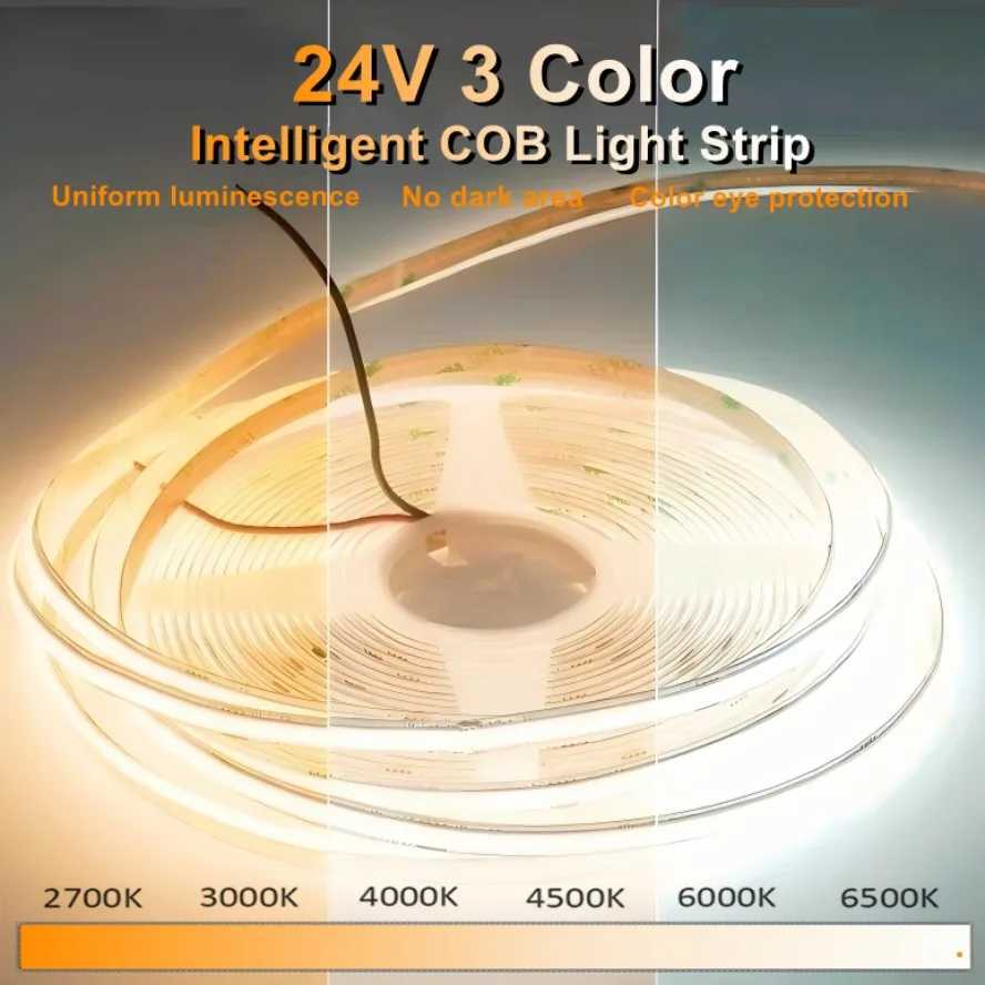 Tri Color Dimming 10m 24V COB LED Strip Light 480 LEDs/m 8mm Width High Density Flexible RA95 Light Strip for TV Wall Decoration W250701