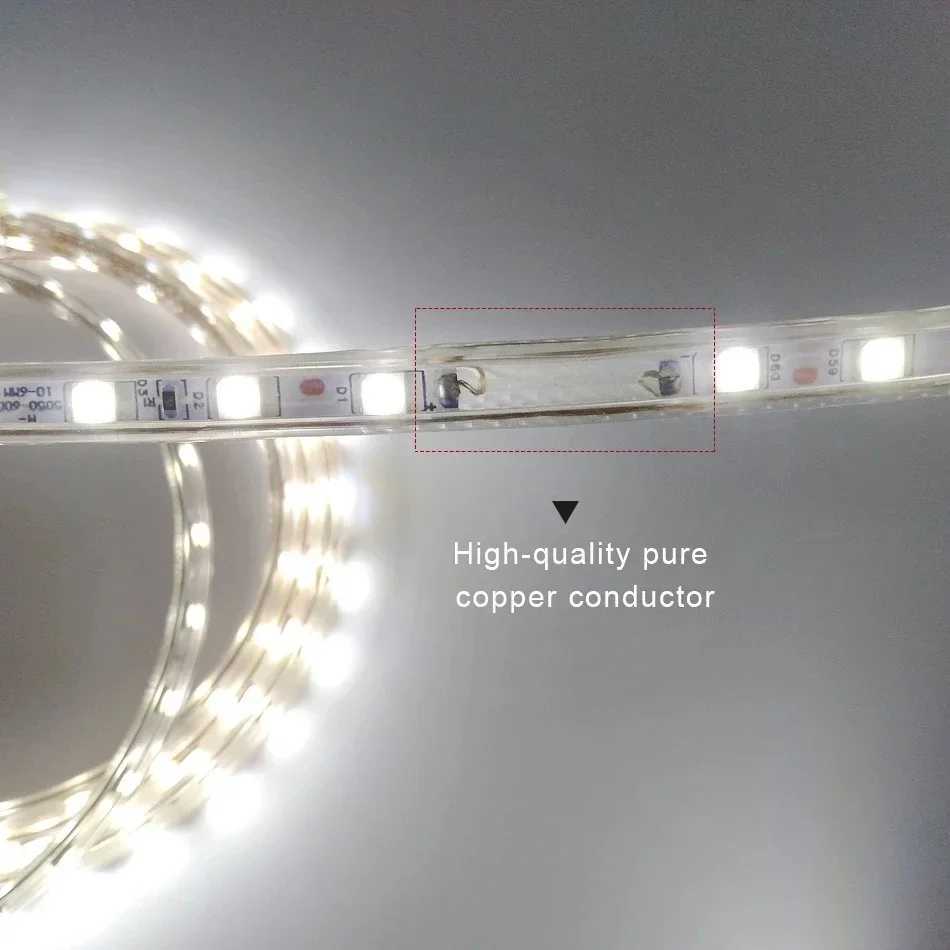 Ac220V LED Strip Lights EU Plug SMD5050 60Leds/M Waterproof Lamp Tape Warm/Cool White Red Blue Green Flexible Ribbon Lighting W250701