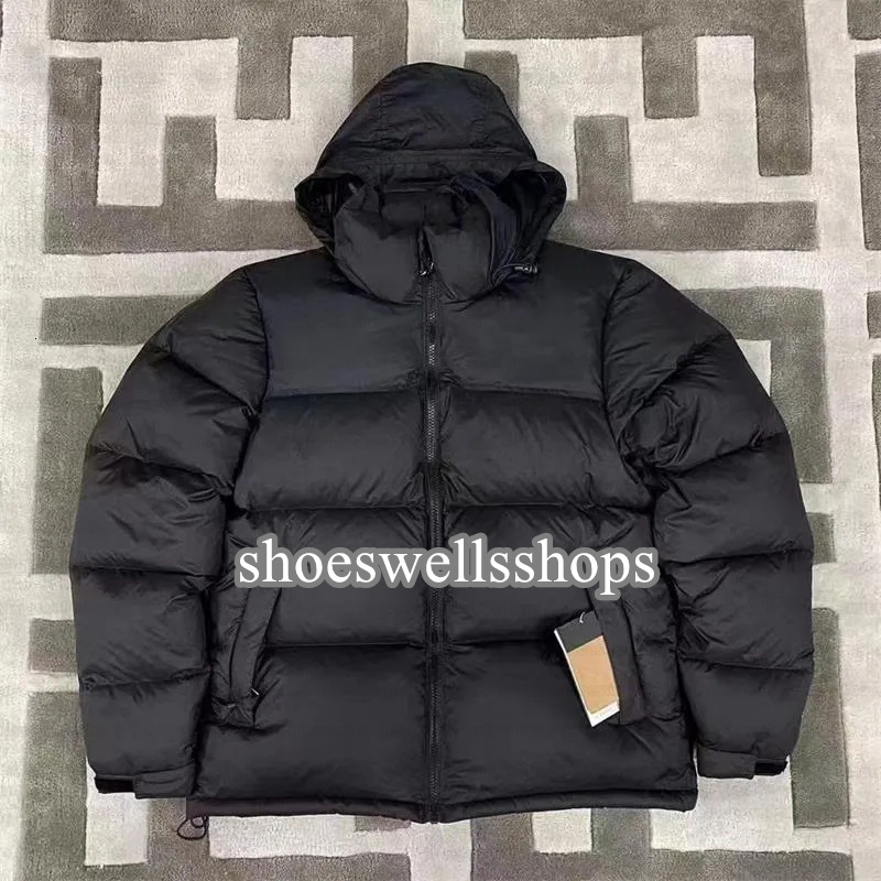 North Puffer Womens Designer Mens Down Coat Peak Purple RED VIOLET Doudoune Femme Zipper Outwears facejacketdesigner NF 700 Parka Windbreaker Jackets 07