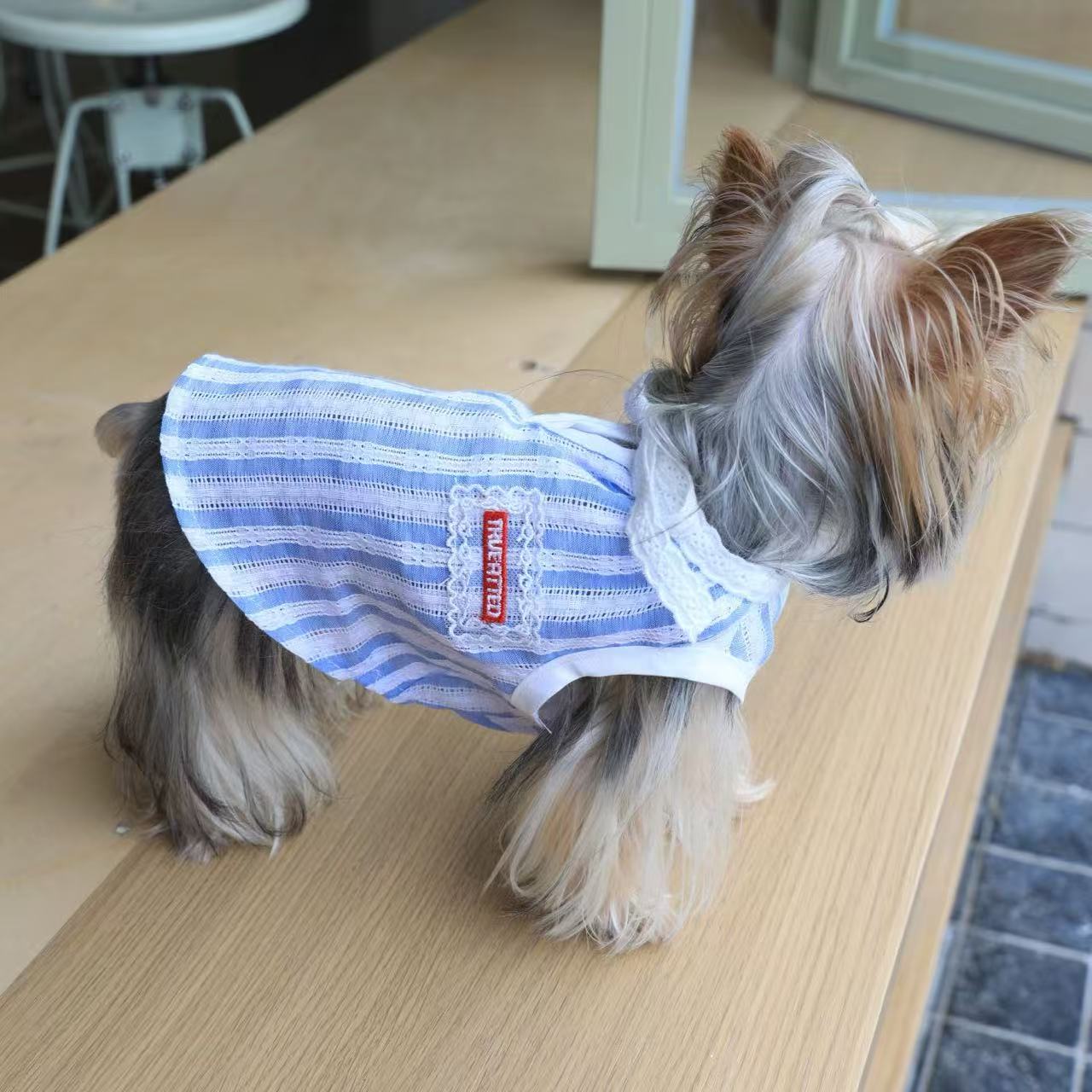T600 Blue striped lace collar bow vest dress for cats and dogs Yorkshire terrier and Bichon pet clothes