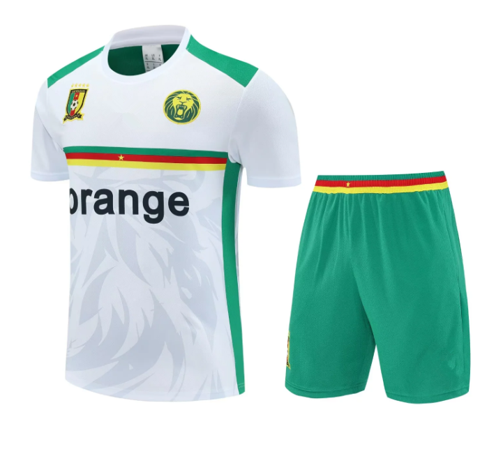 2025 aldult Cameroon Football Training Vest Suit Sportswear Cameroon national team Sleeveless Football Suit