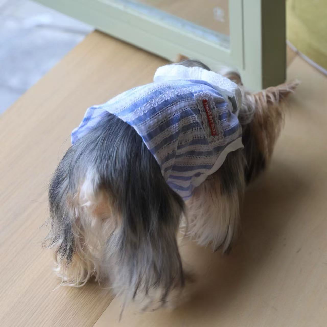 T600 Blue striped lace collar bow vest dress for cats and dogs Yorkshire terrier and Bichon pet clothes
