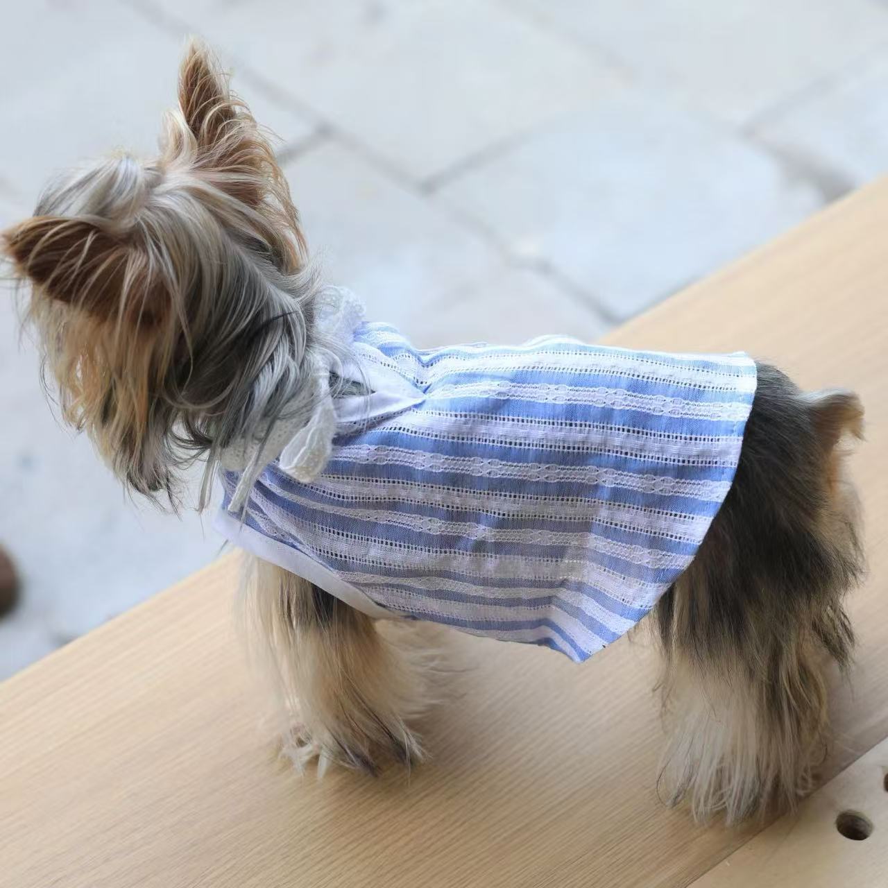 T600 Blue striped lace collar bow vest dress for cats and dogs Yorkshire terrier and Bichon pet clothes