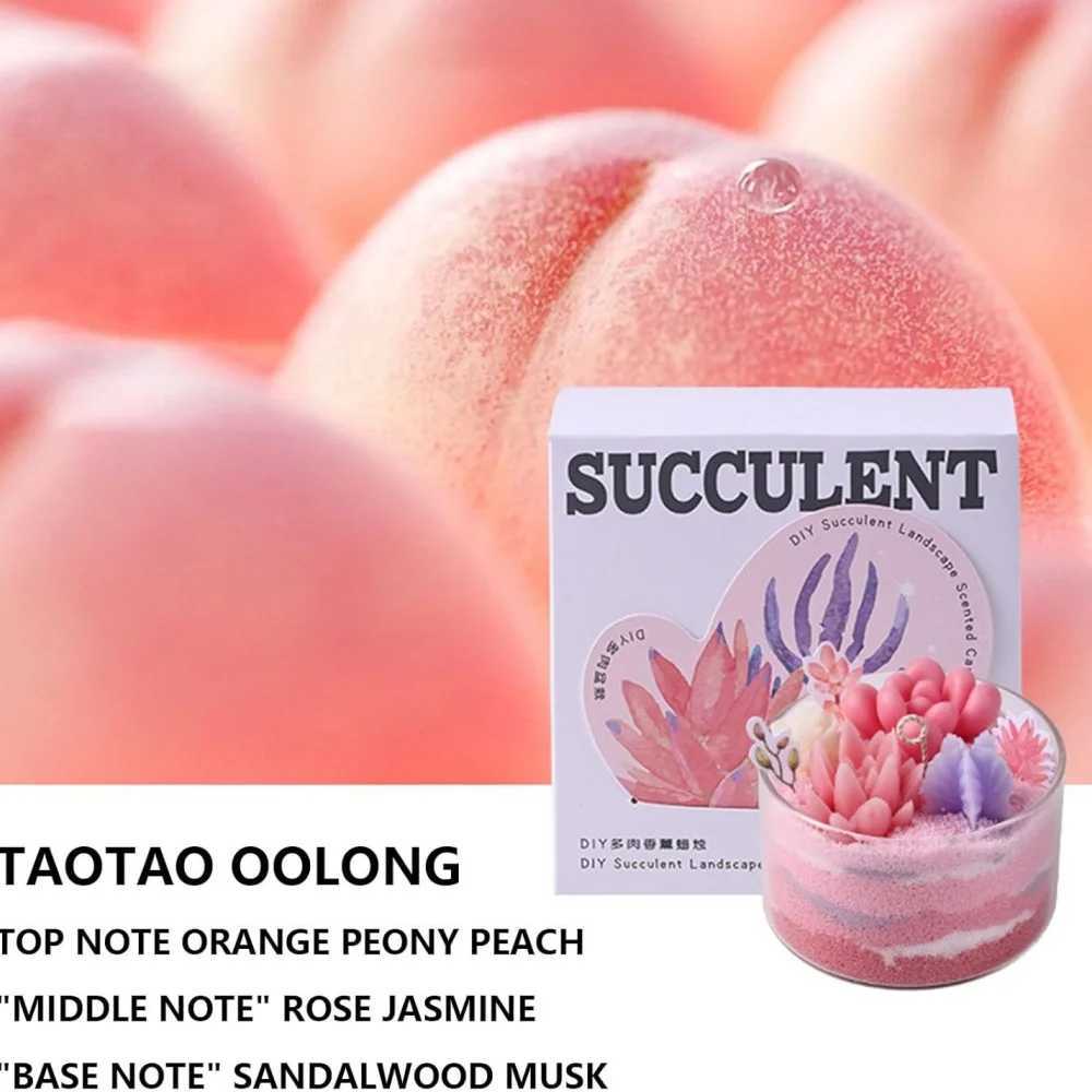 Candle KitSucculents DIY Handmade Scented Candles Can Be Used To Make Scented CandlesGreat For Beginners Childrens Christmas Gifts W250704